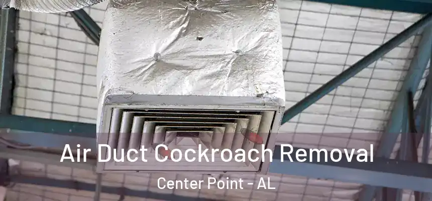  Air Duct Cockroach Removal Center Point - AL