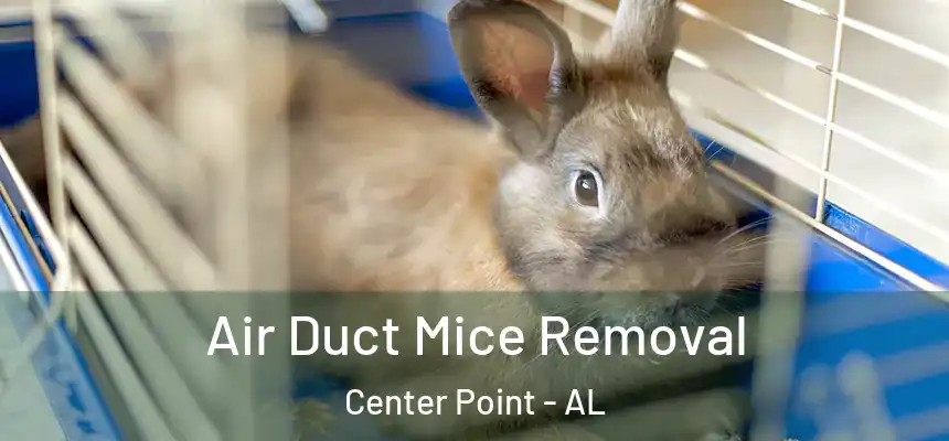  Air Duct Mice Removal Center Point - AL