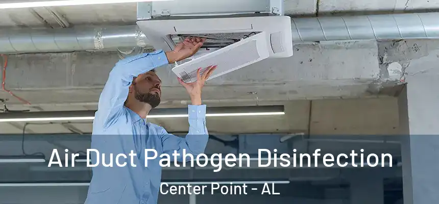  Air Duct Pathogen Disinfection Center Point - AL