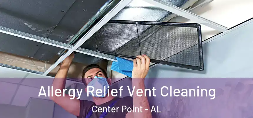  Allergy Relief Vent Cleaning Center Point - AL