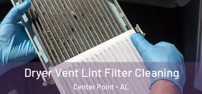  Dryer Vent Lint Filter Cleaning Center Point - AL