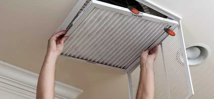 Preventive Cockroach-Proofing for Ducts in Center Point