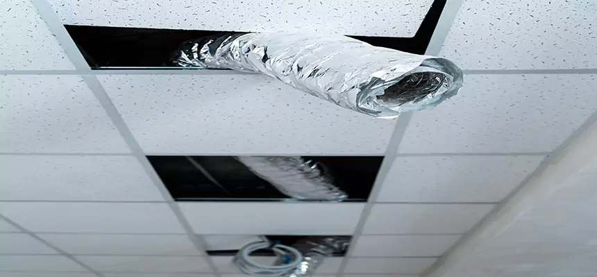 Our Air Duct Pet Hair Removal Services in Center Point, AL