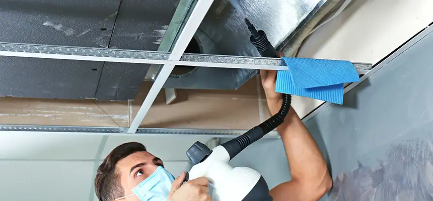 Our Air Duct Rodent Removal Services in Center Point, AL