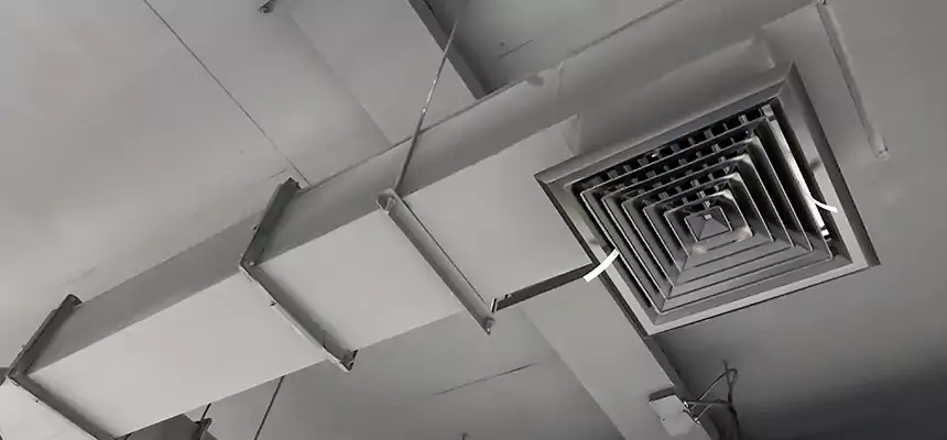 Our Rodent Droppings In Vents Services in Center Point, AL