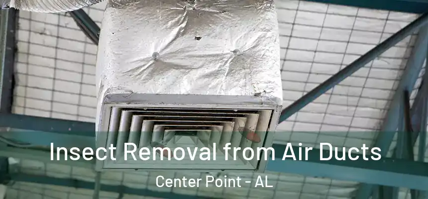  Insect Removal from Air Ducts Center Point - AL