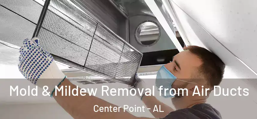  Mold & Mildew Removal from Air Ducts Center Point - AL