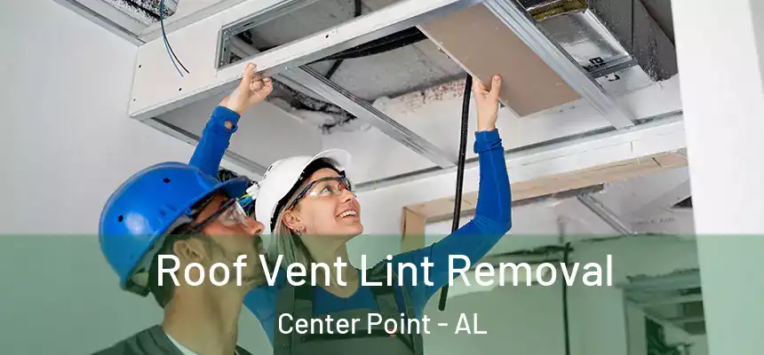  Roof Vent Lint Removal Center Point - AL