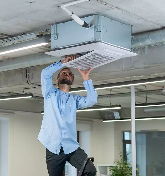 Advanced Rodent Droppings In Vents in Center Point, AL