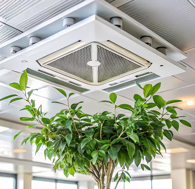 Why Homeowners & Businesses Trust Us in Center Point, AL?