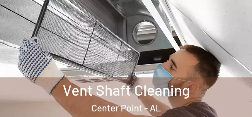  Vent Shaft Cleaning Center Point - AL
